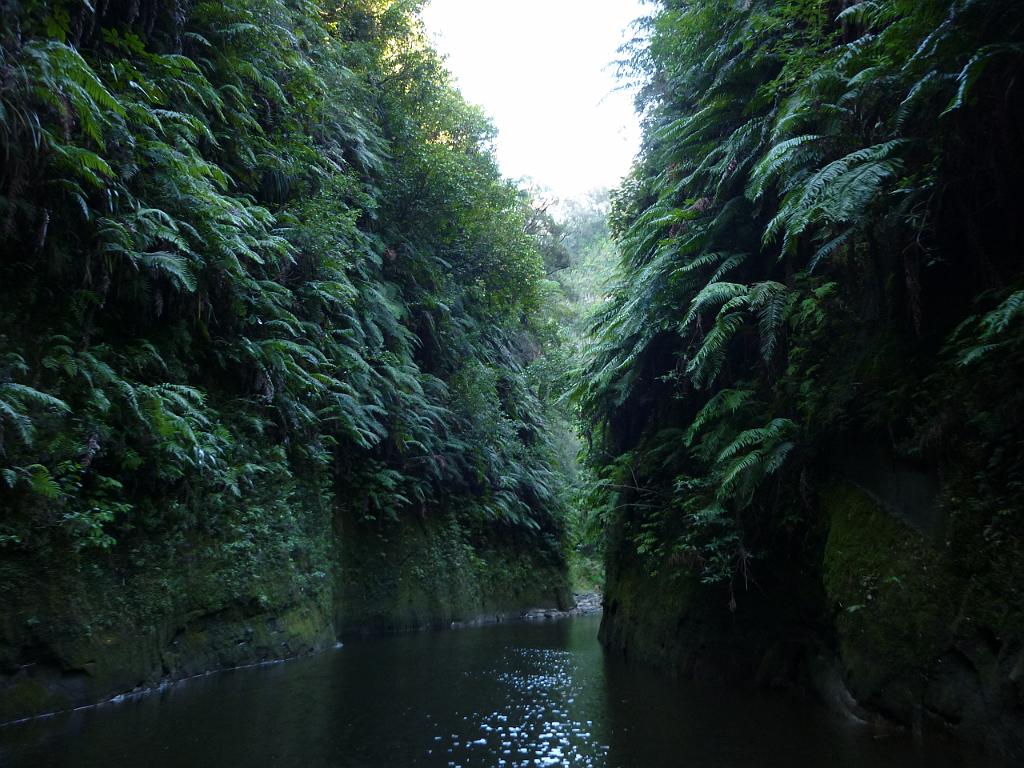 New_Zealand (171).JPG